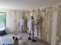  Wtell, LA Mold Removal Services Pros